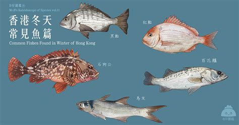香港魚類品種